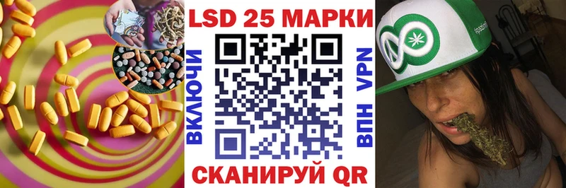 купить наркотики сайты  Шилка  ЛСД экстази ecstasy 