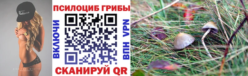 Псилоцибиновые грибы мицелий Шилка